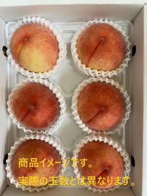 川中島白桃8kg 楽天市場】桃 苗木 【川中島白桃】 桃 3年生接木苗 8号ポット